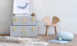 Personalised Decorative Cushion with Star, Powder Blue & Gold